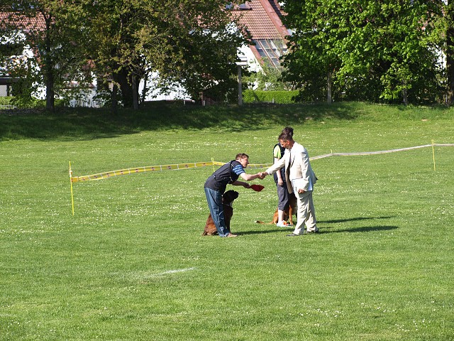 www.atibox.net * www.euroboxer.eu * www.boxergenealogia.eu